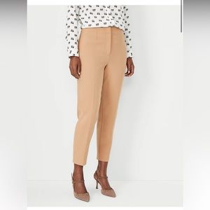 Ann Taylor dress pants